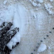 Nettoyage pour journée de neige